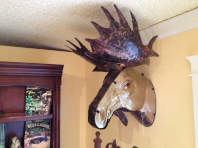 moose_head