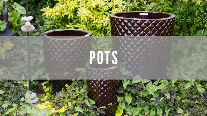 Looking to re-pot your plant or just get a new pot setup, we have a wide variety of shapes, sizes, and colors available!