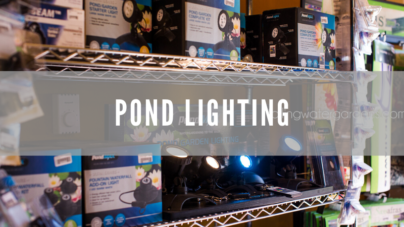 Ponds are great to enjoy during the daylight hours and in the evening, we have all of the lighting options you need!