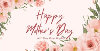 Mother's Day